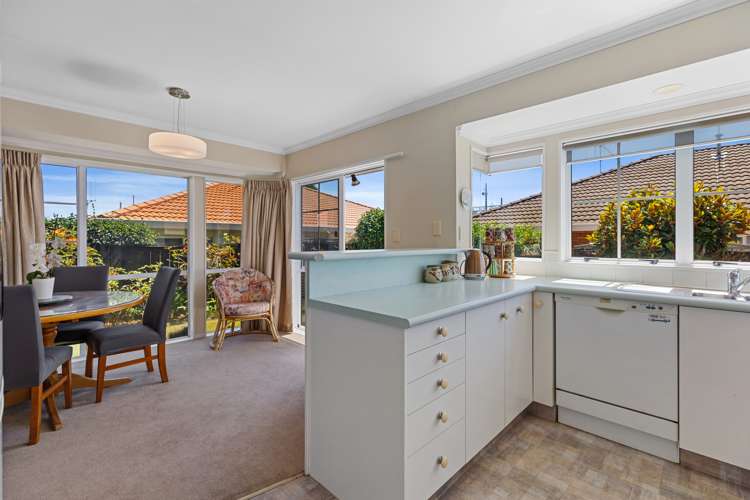 9 Oleander Lane Mount Maunganui_7