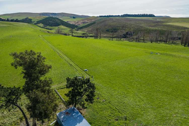 277 Mackenzies Road Waipara_8