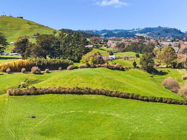 - Samson Road Waihi_1