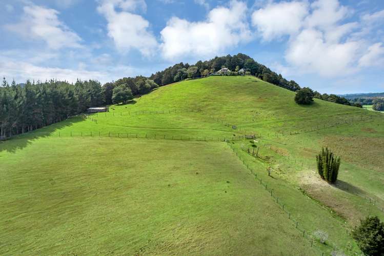 Lot 2, 106 Totara Park Lane Glenbervie_11