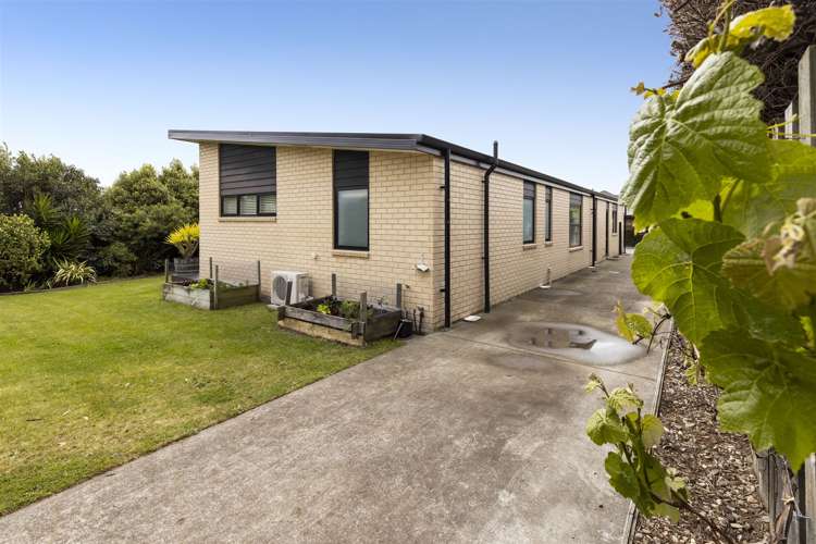 10 Mcallister Place Renwick_18