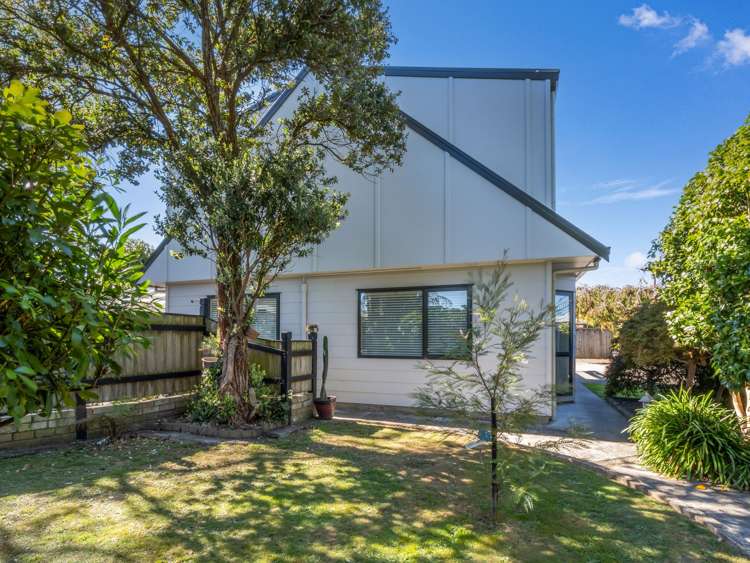 166 Cambridge Avenue Ashhurst_26