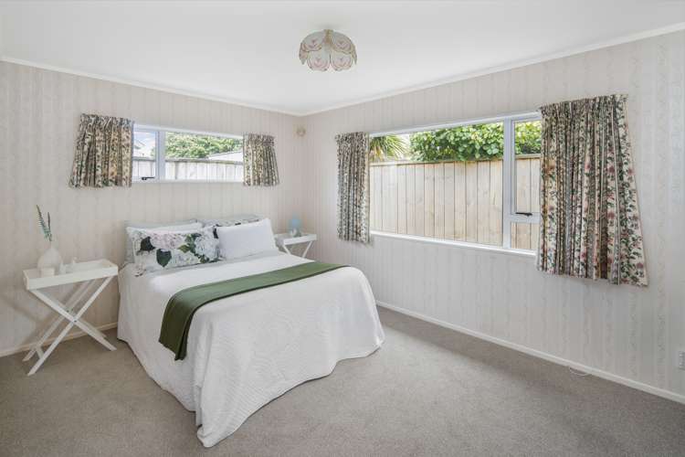 33a Devonshire Road Miramar_7