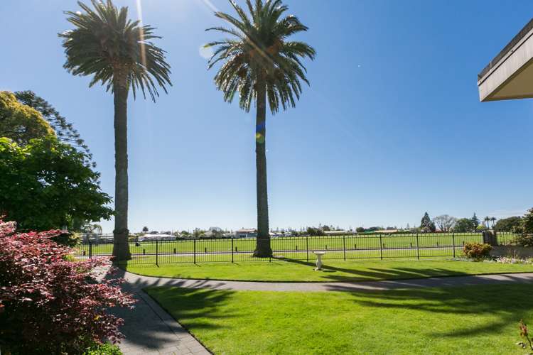 33 Mcdonald Street Napier South_3