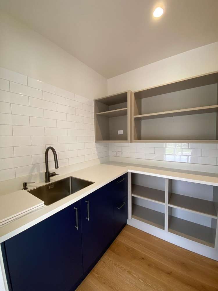 241 Austin Road Dairy Flat_7
