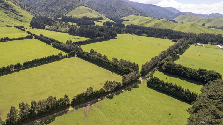 189 Thorburn Road Dannevirke_0