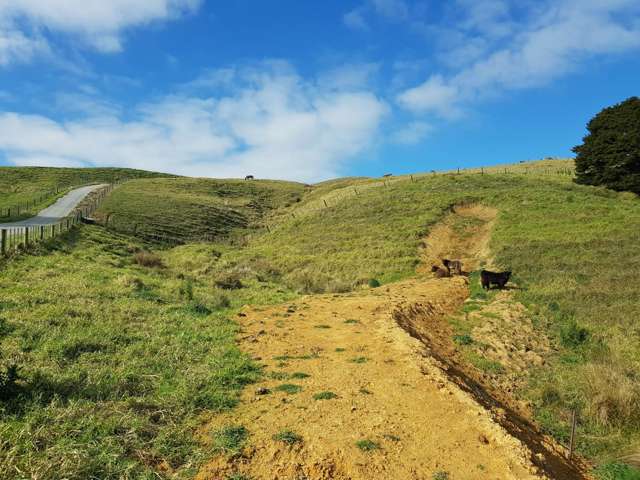 3390b Kaipara Coast Highway Glorit_2