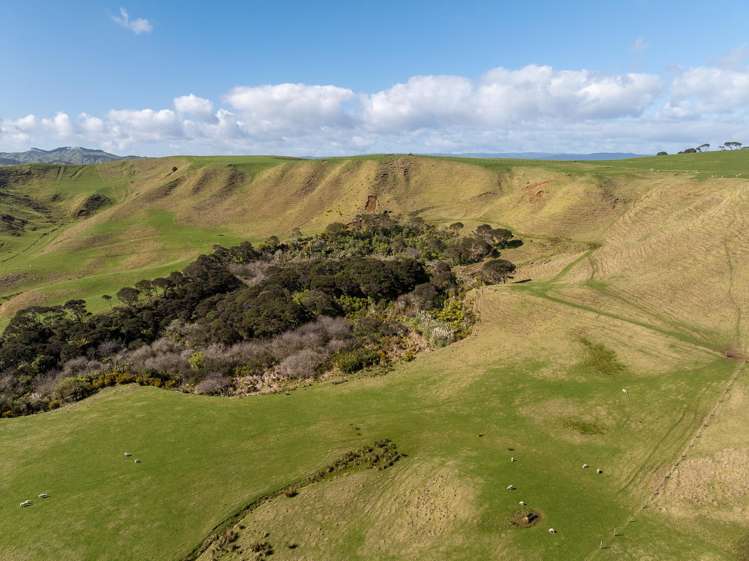 88 Lake Road Kawhia_27