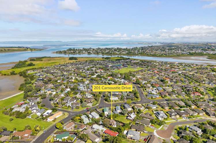 201 Carnoustie Drive Wattle Downs_18