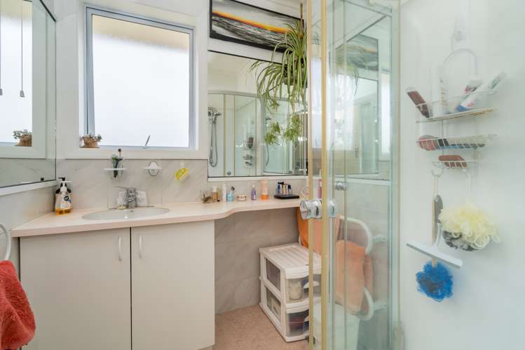 4 Vampire Road Waldronville_8