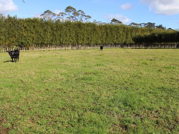 129a Ness Road Kerikeri Surrounds_1