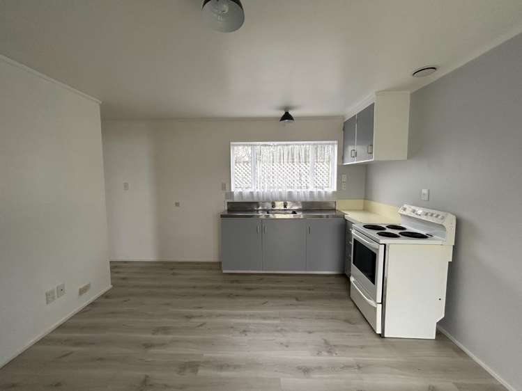 38A Abbotsford St Whitiora_7