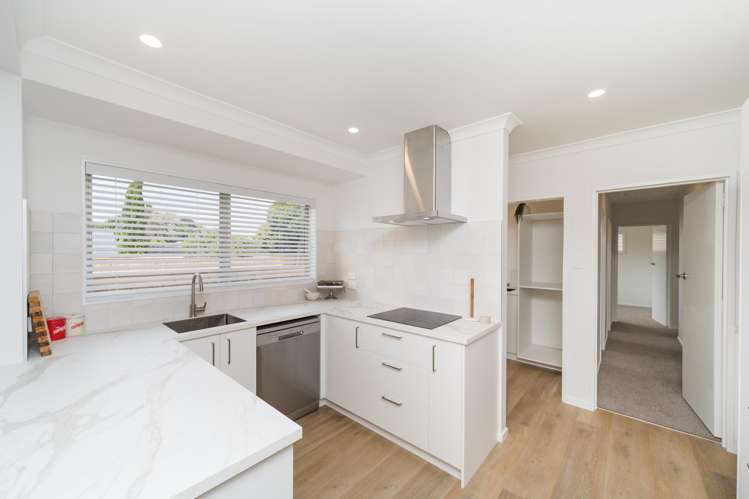 167 Maxwells Line Awapuni_11