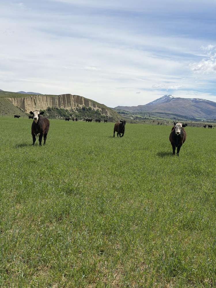 5582 Wedderburn-Becks Road Hills Creek_3