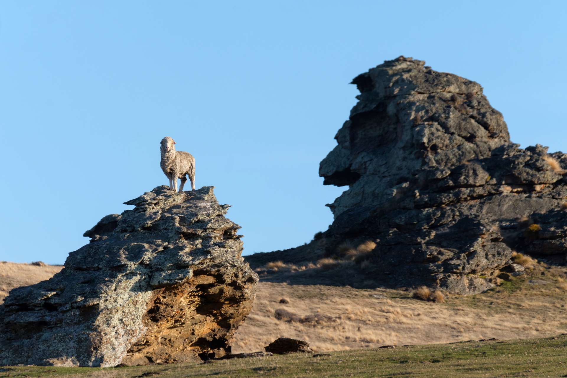 1109 Little Valley Road Alexandra_0