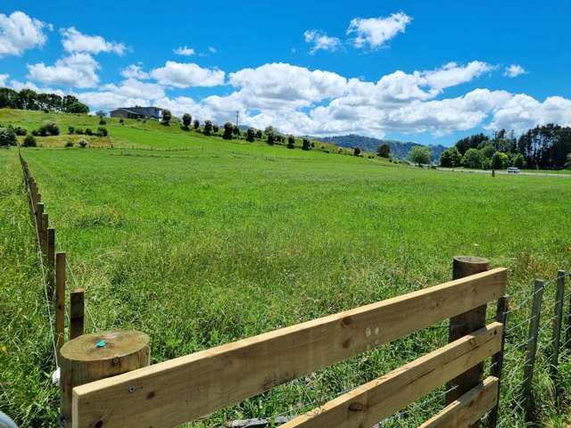 2/2 Hogg Road Onepu_1