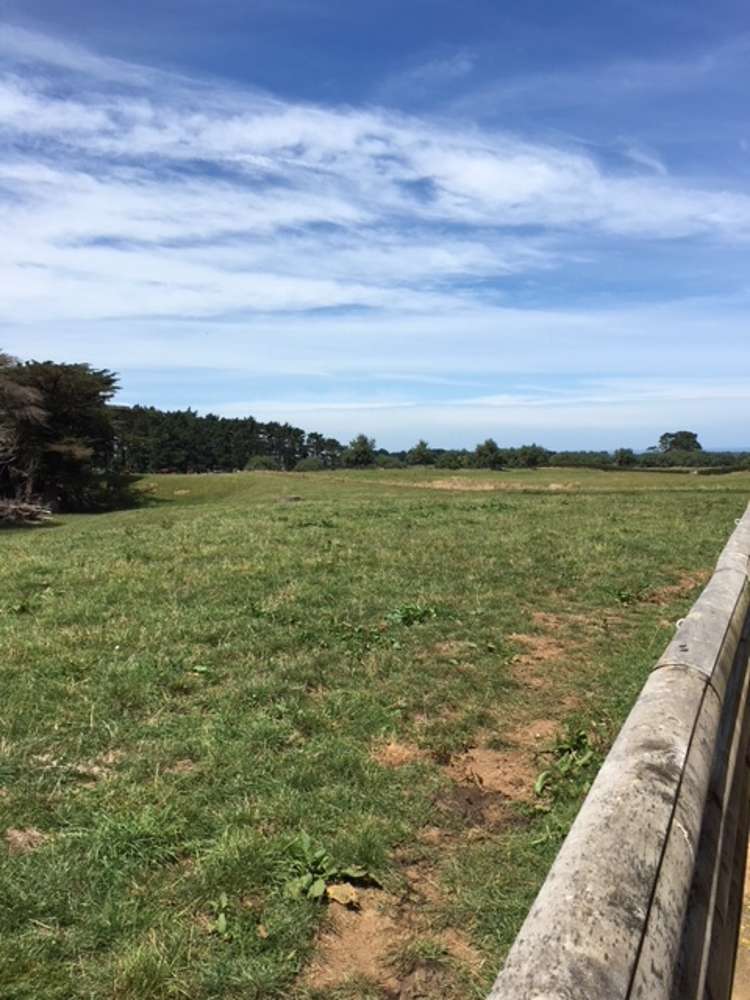 1703 Eltham Road Riverlea_22