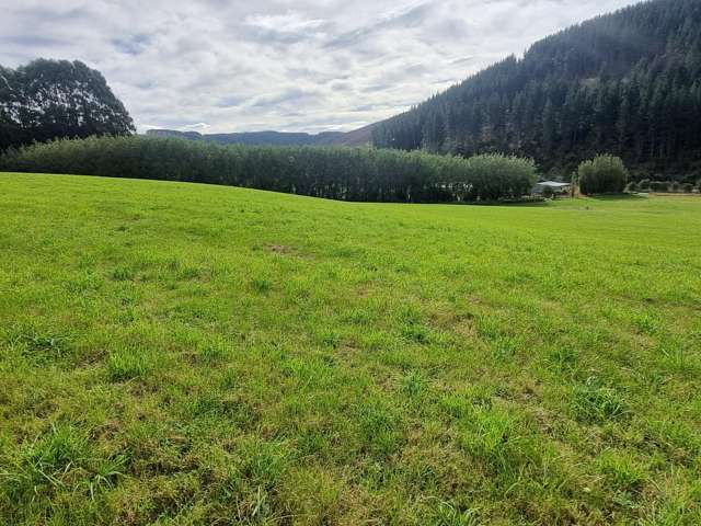 Falla Burn Road, Manuka Gorge Milton_2