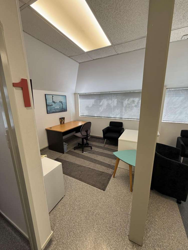 3 Ely Avenue Remuera_6