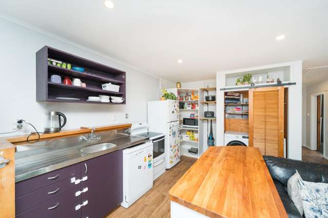 31 Rangiora Avenue Roslyn_2