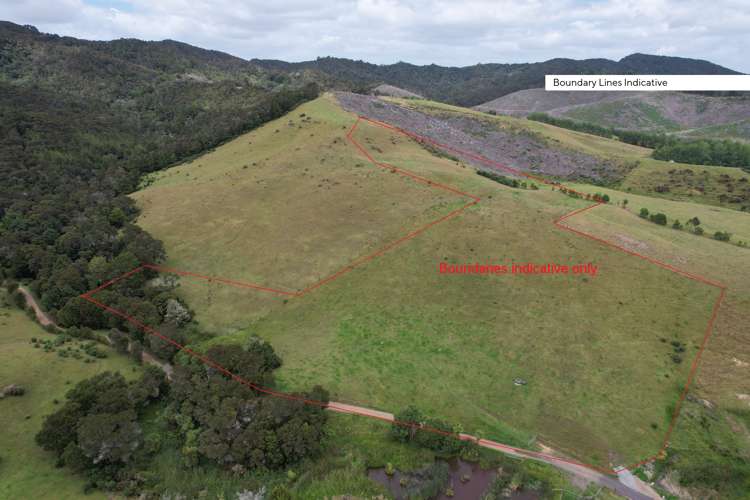 91 Sharyn Nelson Drive_0