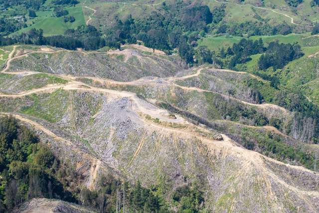 170 Mangaone North Road Te Horo_3