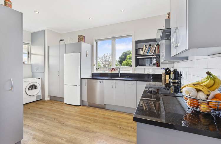 72 Devonshire Road Miramar_10