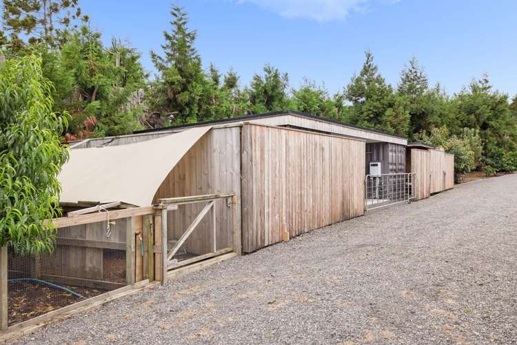 145A Whakamarama Road Whakamarama_19