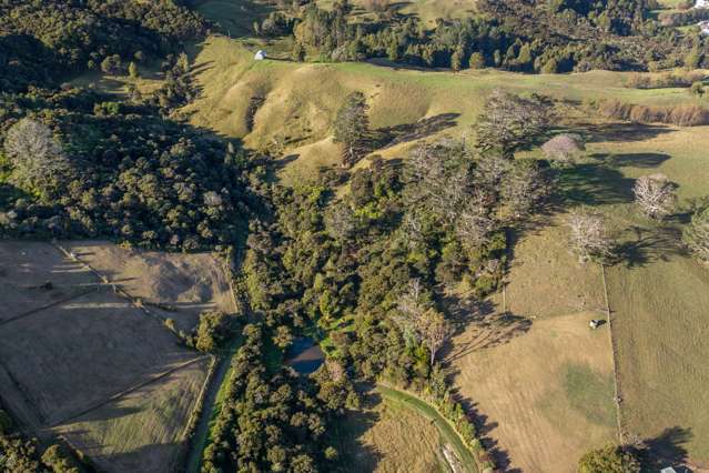 244C Blackbridge Road Dairy Flat_4