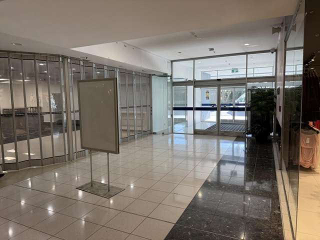11 Gill Street New Plymouth_3