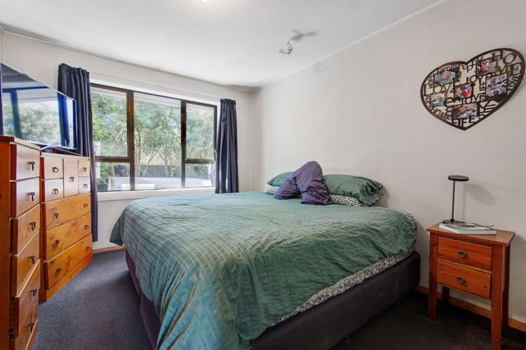 62 Manurere Street Hei Hei_6