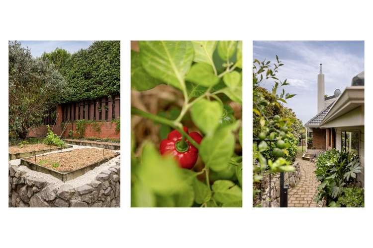 70 Waratah Street Matua_25