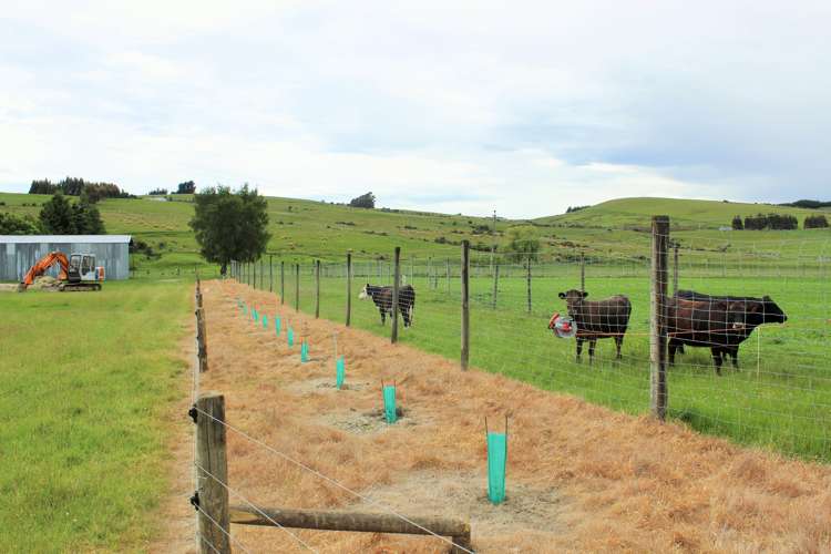 105 Lynwood Road New Lynn_14