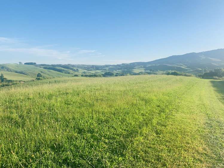 231B Morgan Road Matamata_25
