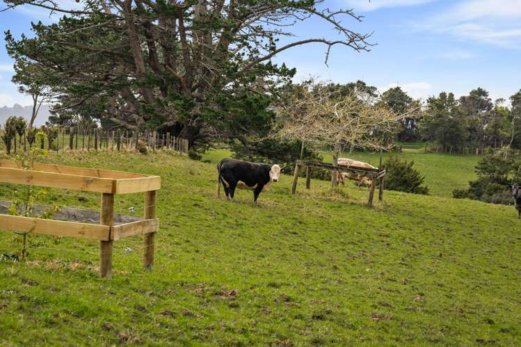 167 Anderson Road Kaukapakapa_28