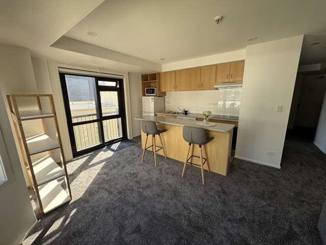 8B/2 Eden Crescent City Centre_4