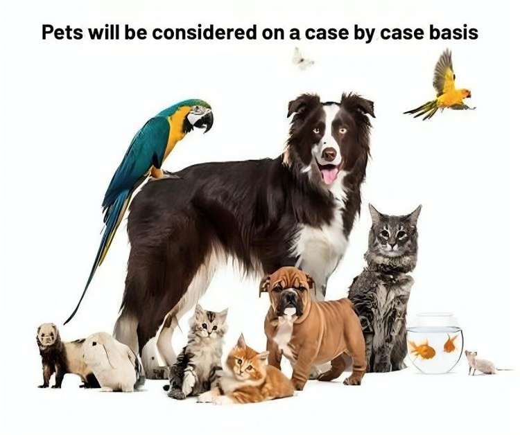 9 WHERIKO AVE "KAHAWAI POINT" Glenbrook_30