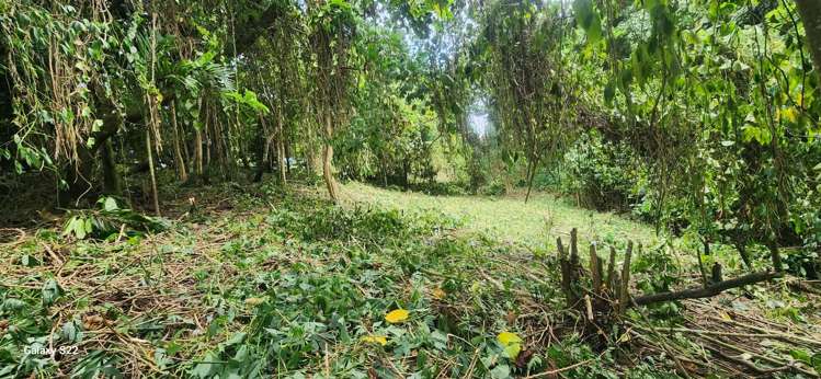 Lot 11 Raintree Estate, Oneva Savusavu_10