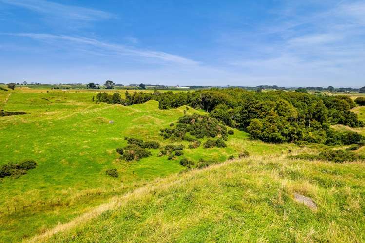 955 Opua Road Opunake_38