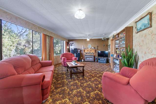 164 Winchester Street Levin_4