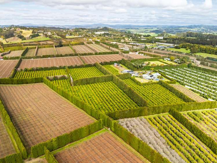 581D Kerikeri Road Kerikeri_6