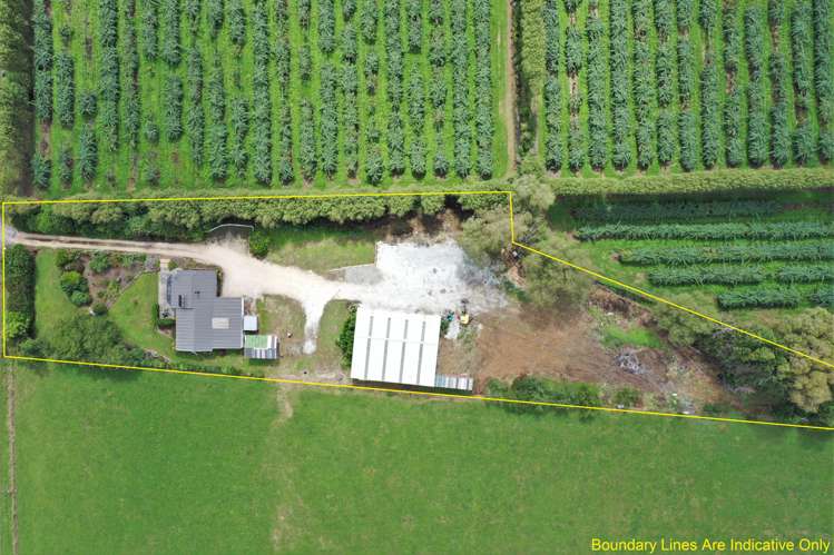 173 Long Plain Road Takaka_23