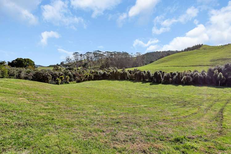 391 Pataua North Road_1