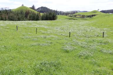 121 Tarata Road_1
