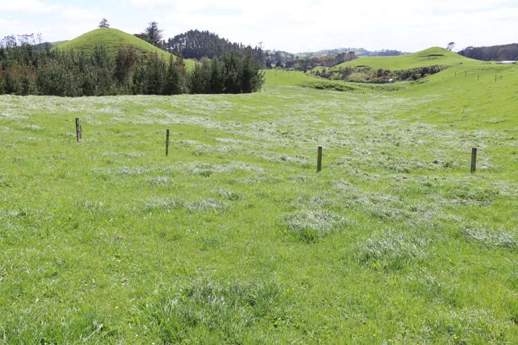 121 Tarata Road Inglewood_1