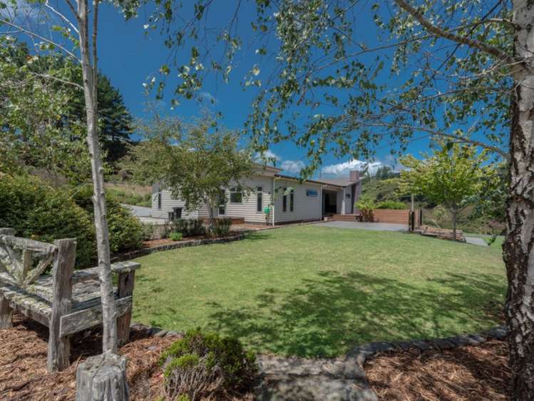 881 Old Mountain Road Raglan_6