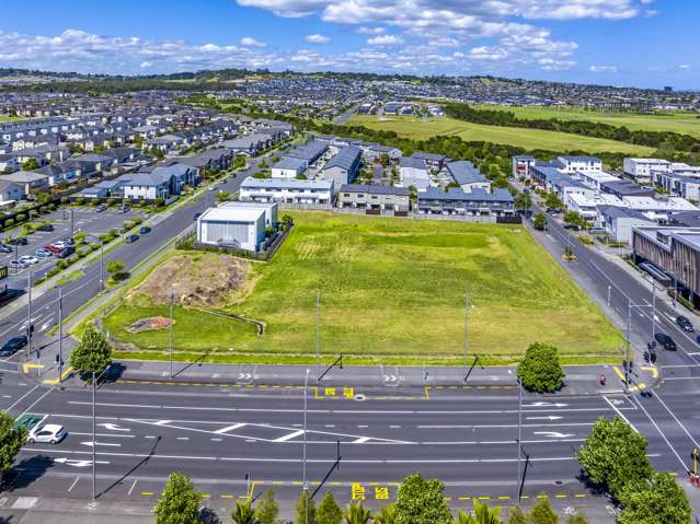 65 Haddington Drive Flat Bush_2