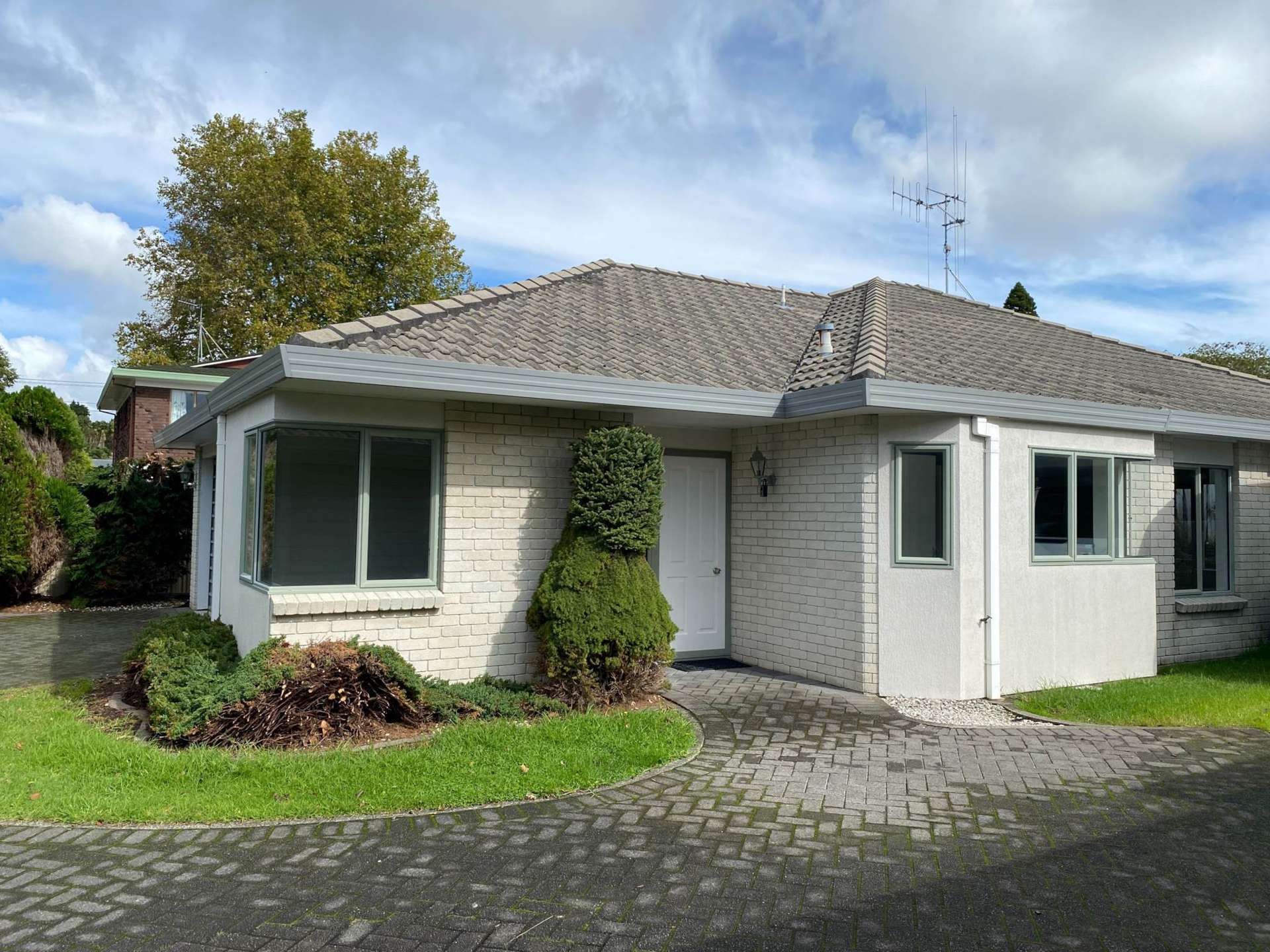 79B Seventeenth Avenue Tauranga South_0