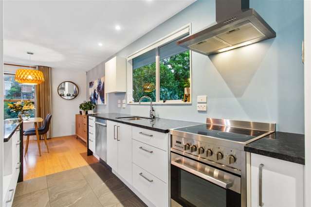 4 Pallister Drive Hillsborough_3