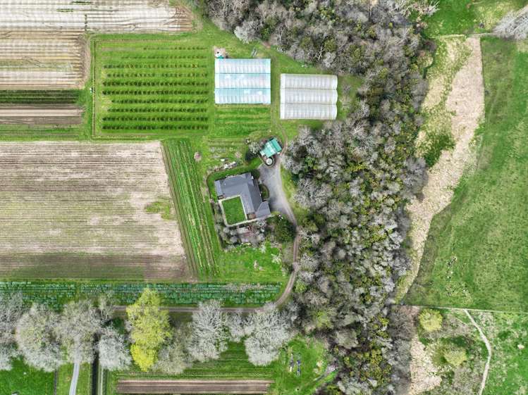491E Bruntwood Road Tamahere_23
